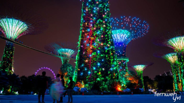 Gardens by the Bay Lightshow