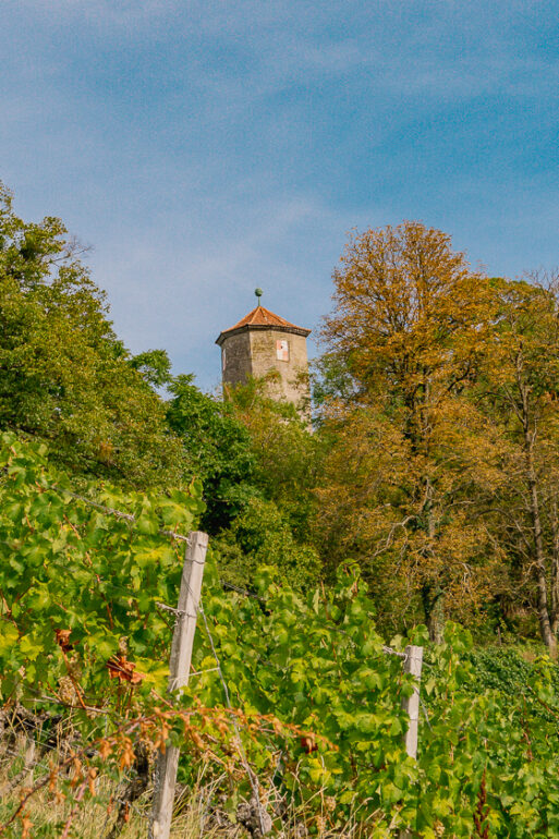 Weinpanorama-Dorfschätze