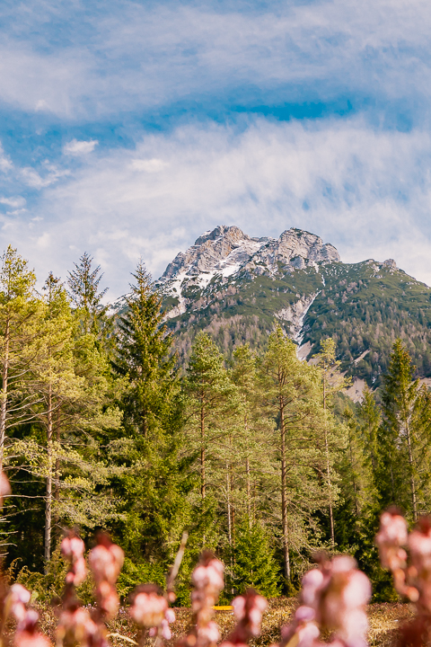 Ausblick auf die umliegenden Berggipfel am Pillersee